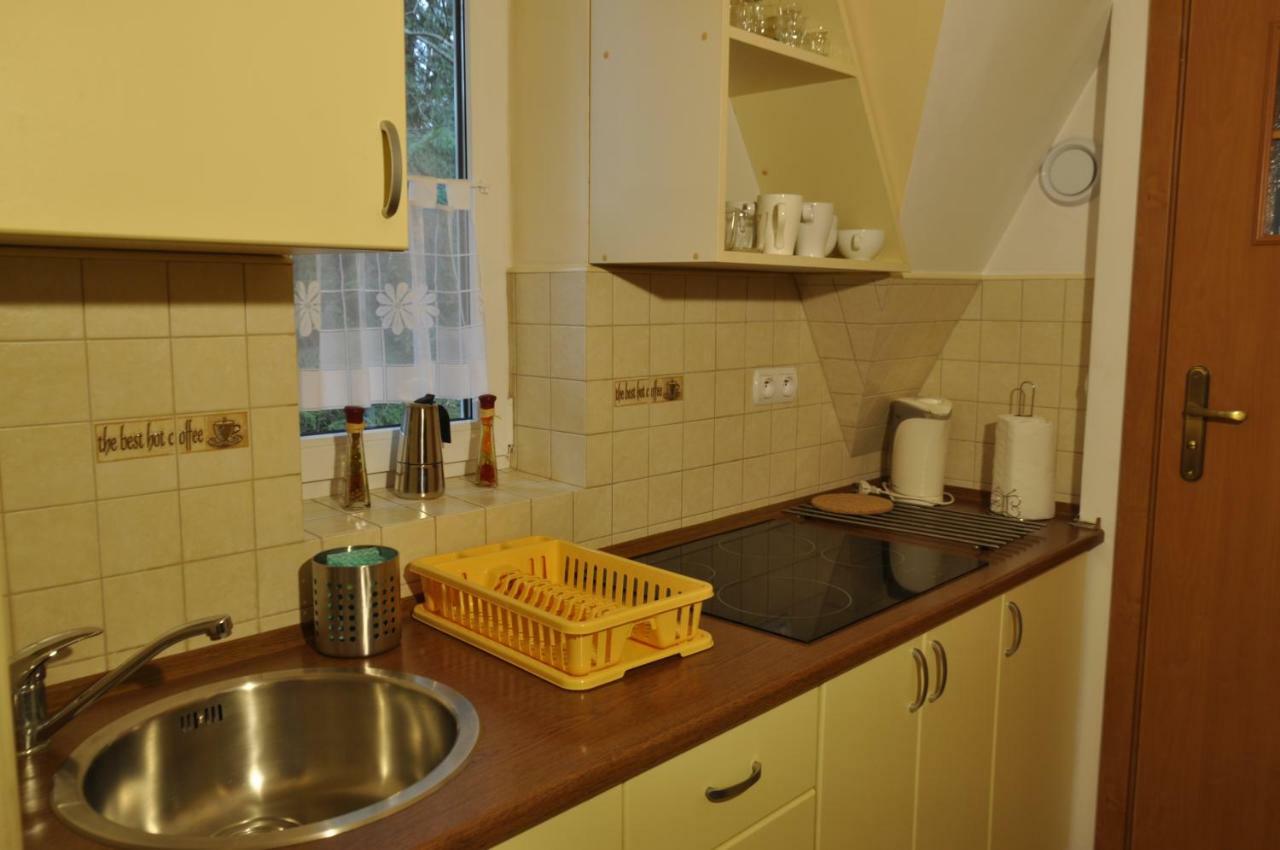 Apartamenty Sobiczkowa Wyspa Koscielisko Ngoại thất bức ảnh